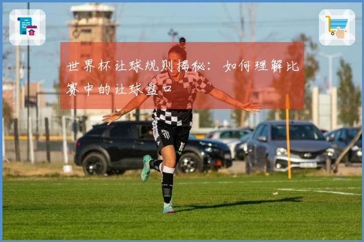 世界杯让球规则揭秘:如何理解比赛中的让球盘口