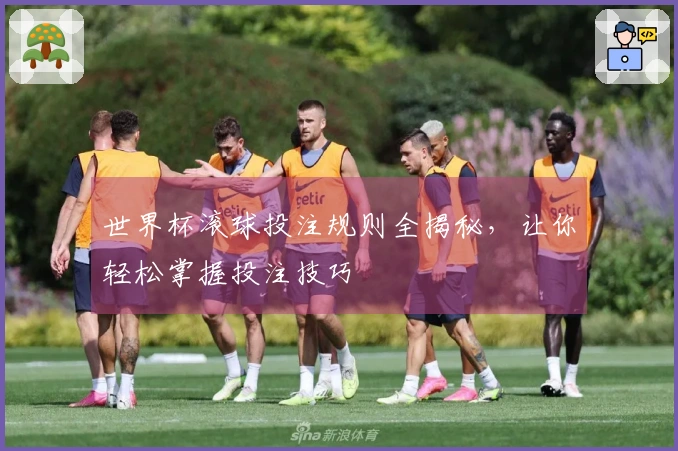 世界杯滚球投注规则全揭秘,让你轻松掌握投注技巧