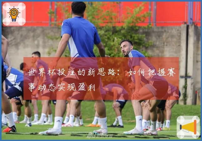 世界杯投注的新思路：如何把握赛事动态实现盈利